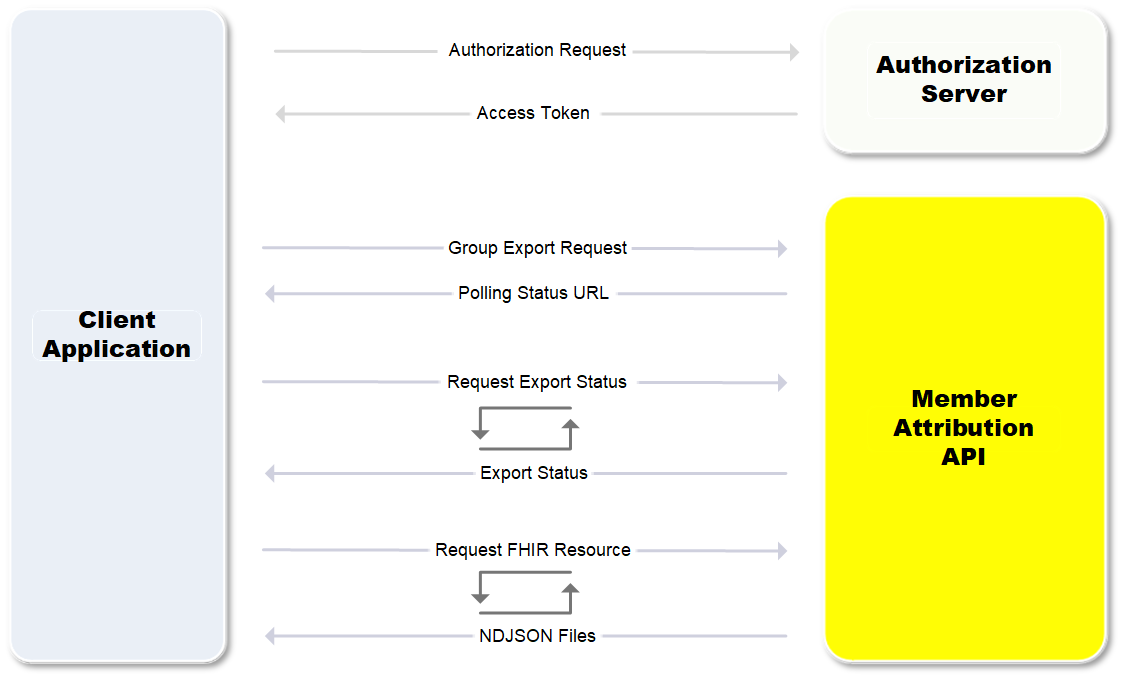 Bulk Export Workflow